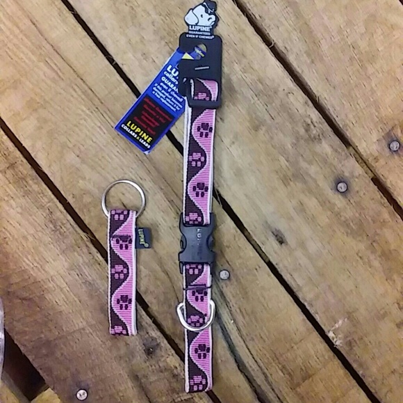 Lupine Other - NWT Lupine Pet Collar & Matching Keychain!